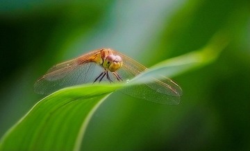 2012062411292671