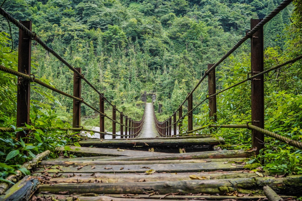 都江堰杨柳坪小憩