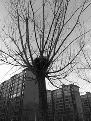 20140101_170221