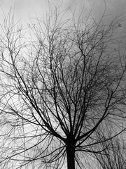 20140101_165535