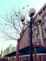 20140104_130153