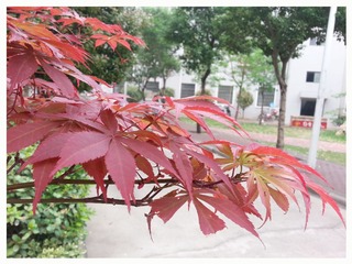 20140412_111230
