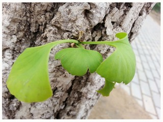 20140412_125203