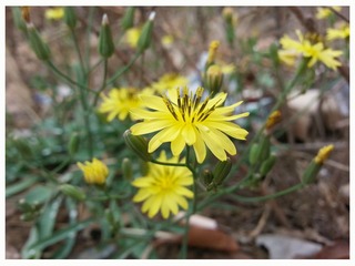 20140412_130313