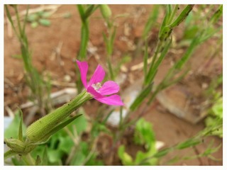 20140412_131507