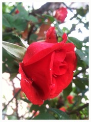 20140412_144103