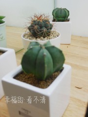 幸福的·看不清