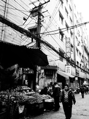 R0089298