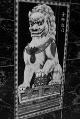 R0089355