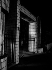 R0089813