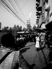 R0090085