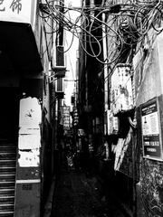 R0091033