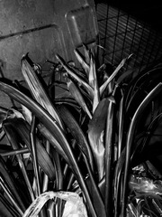 R0090841