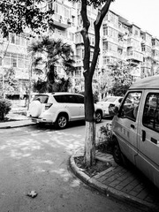 R0130421