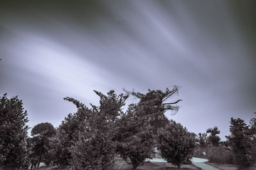 DSC_9804fb