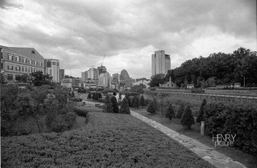 IMG-9000-25180-120