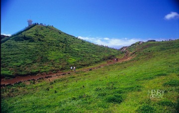 IMG-5000-27436-135