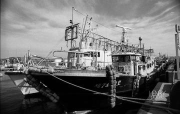 IMG-5000-27086-135