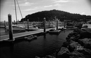 IMG-5000-27084-135