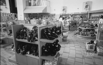 IMG-5000-27470-135