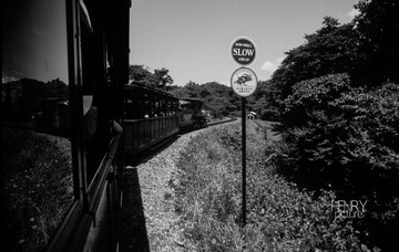 IMG-5000-27437-135