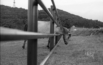IMG-5000-27071-135