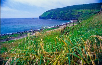   IMG-5000-27446-135