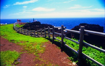 IMG-5000-27435-135