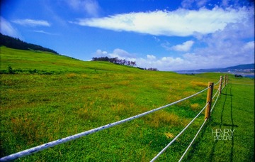 IMG-5000-27429-135