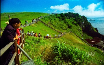 IMG-5000-27295-135