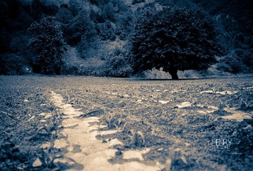 IMG-9000-21738-120