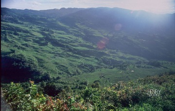 IMG-5000-18789-135