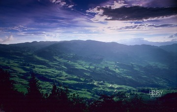 IMG-5000-18784-135