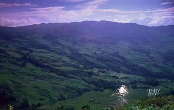 IMG-5000-18782-135