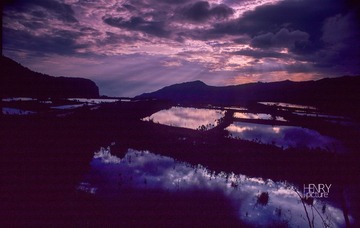 IMG-5000-18779-135