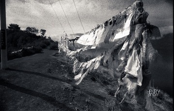 IMG-5000-18483-135