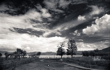 IMG-5000-18477-135