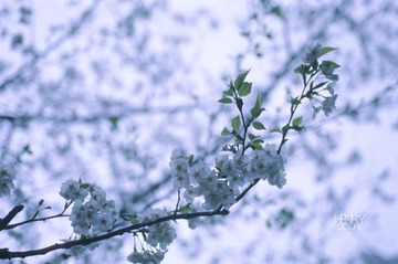 IMG-135126355000