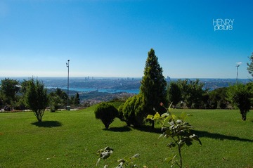 image_0077