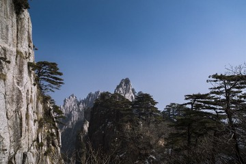 206A5381