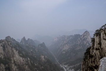 206A5388