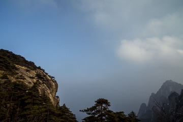 206A5424