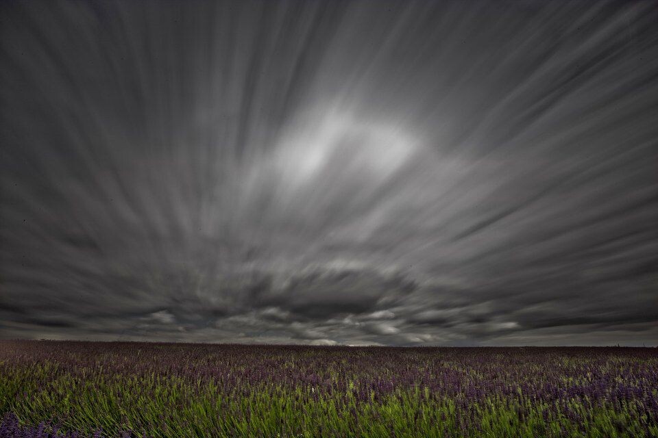Hitchin Lavender<br />