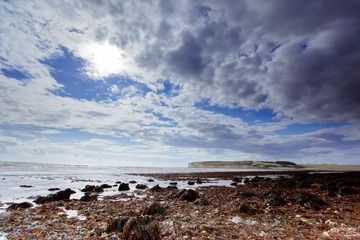 IMG_8189-1