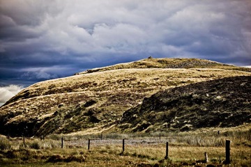 IMG_1123-2