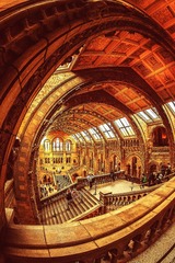 Natural History Museum