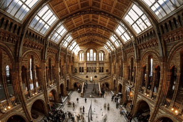 Natural History Museum