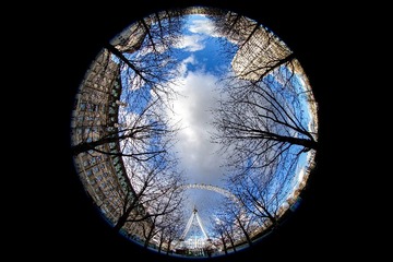 London Eye