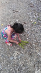IMAG0049