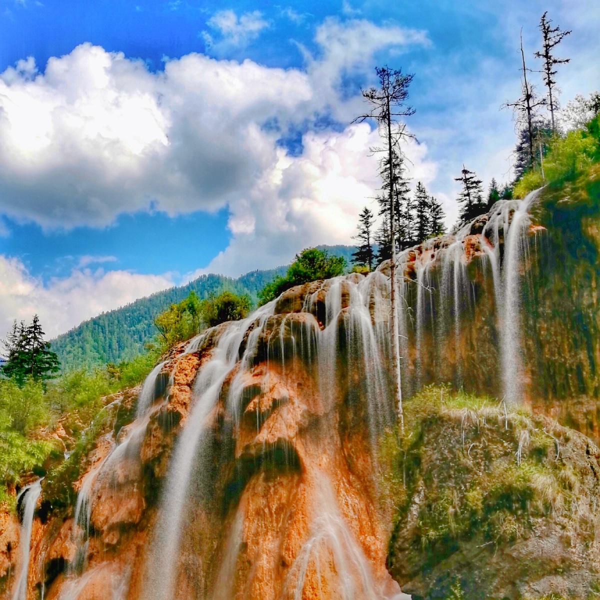 拍摄地:四川九寨沟